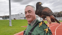 Carl — Owner & Lead Technician
