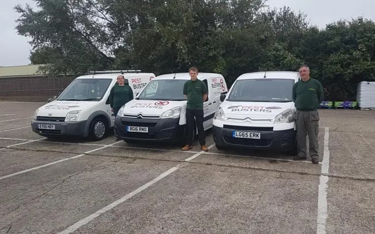 Professional pest control technician